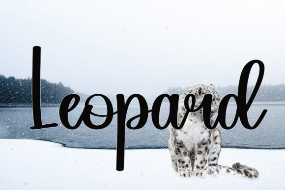 Animal Font - Preview 1