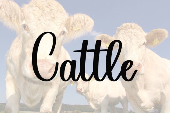 Animal Font - Preview 3
