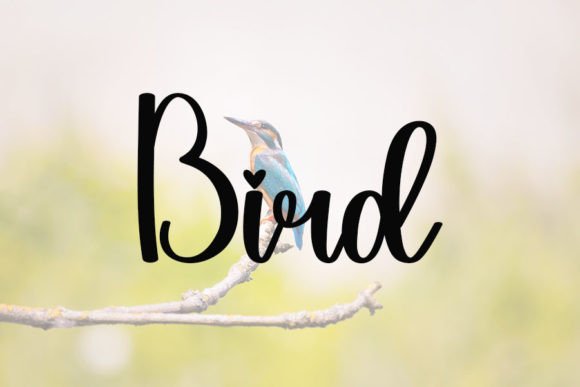 Animal Font - Preview 4