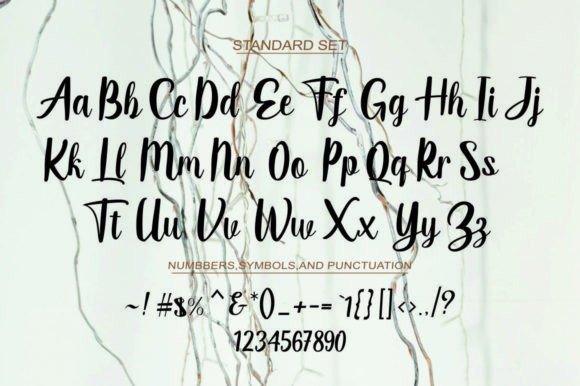 Polo Land Font PNG with transparent background - Preview 4