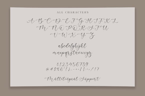 Admire Camelia Font - Preview 5