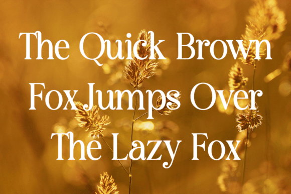 Bestogram Font - Preview 6