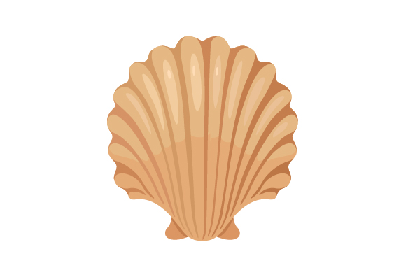 Shell SVG Cut file by Creative Fabrica Crafts · Creative Fabrica