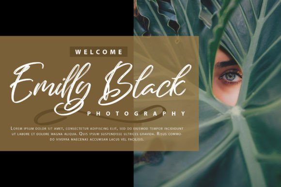 Bellmonty Font - Preview 2