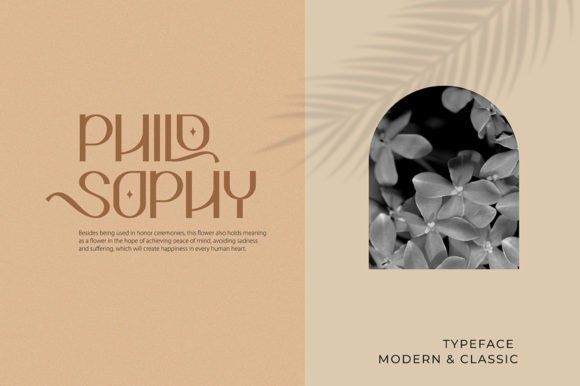 Asoka Font - Preview 1