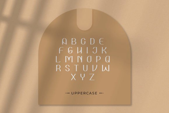 Asoka Font - Preview 2