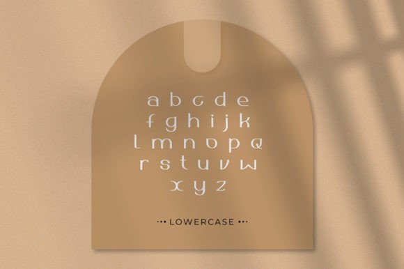 Asoka Font - Preview 3