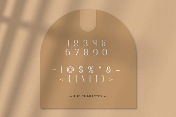 Asoka Font - Preview 4
