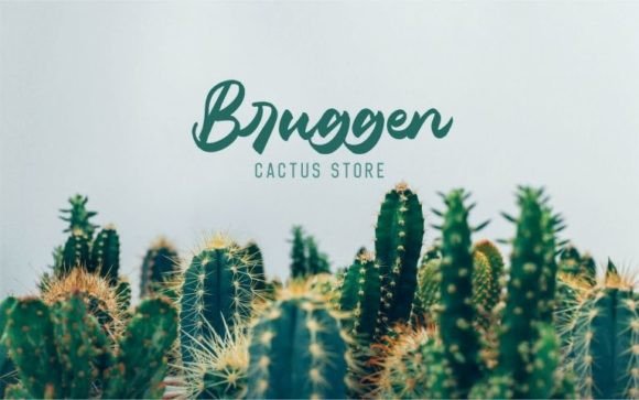 Belanthara Font - Preview 1