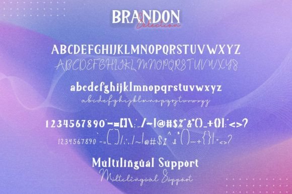 Brandon Selection Font - Preview 5