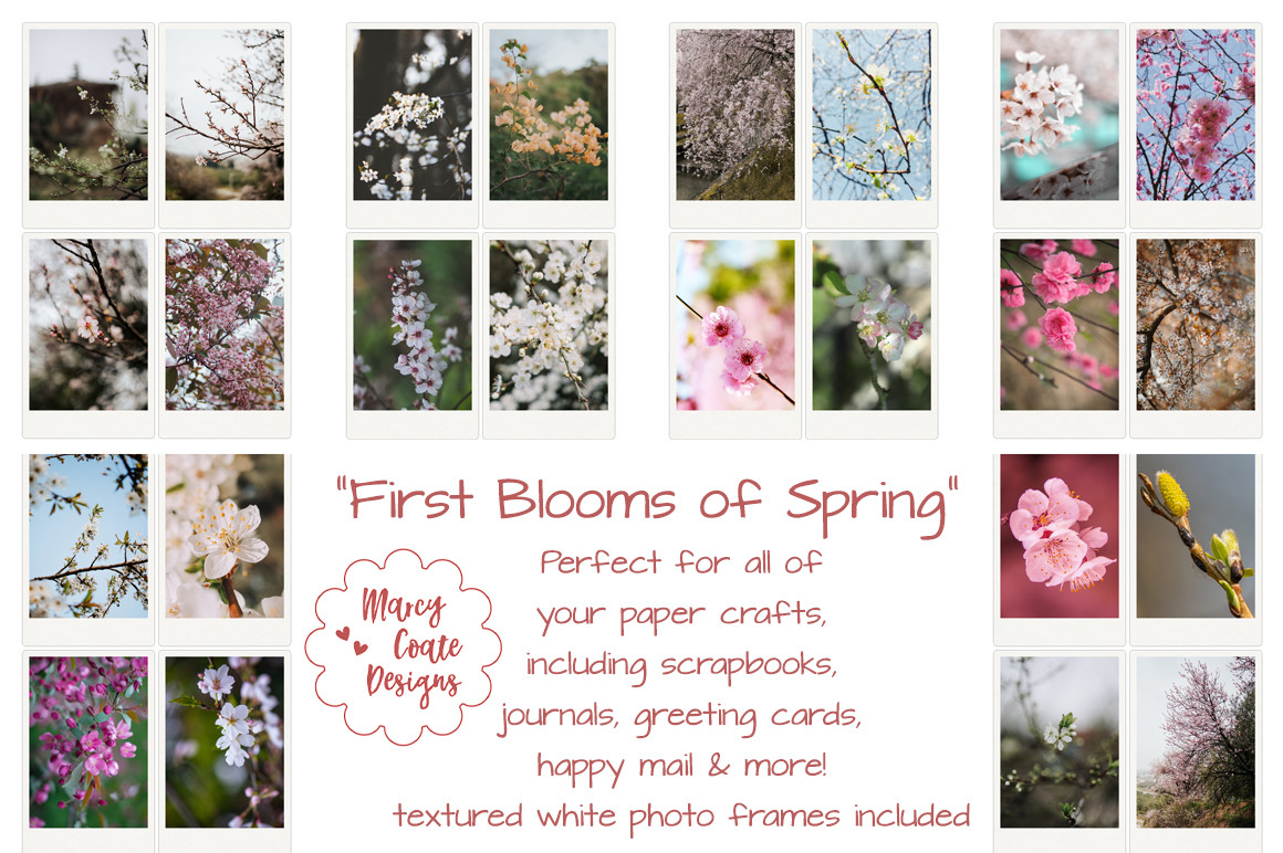 First Blooms of Spring Photos and Frames Graphic by MarcyCoateDesigns ...
