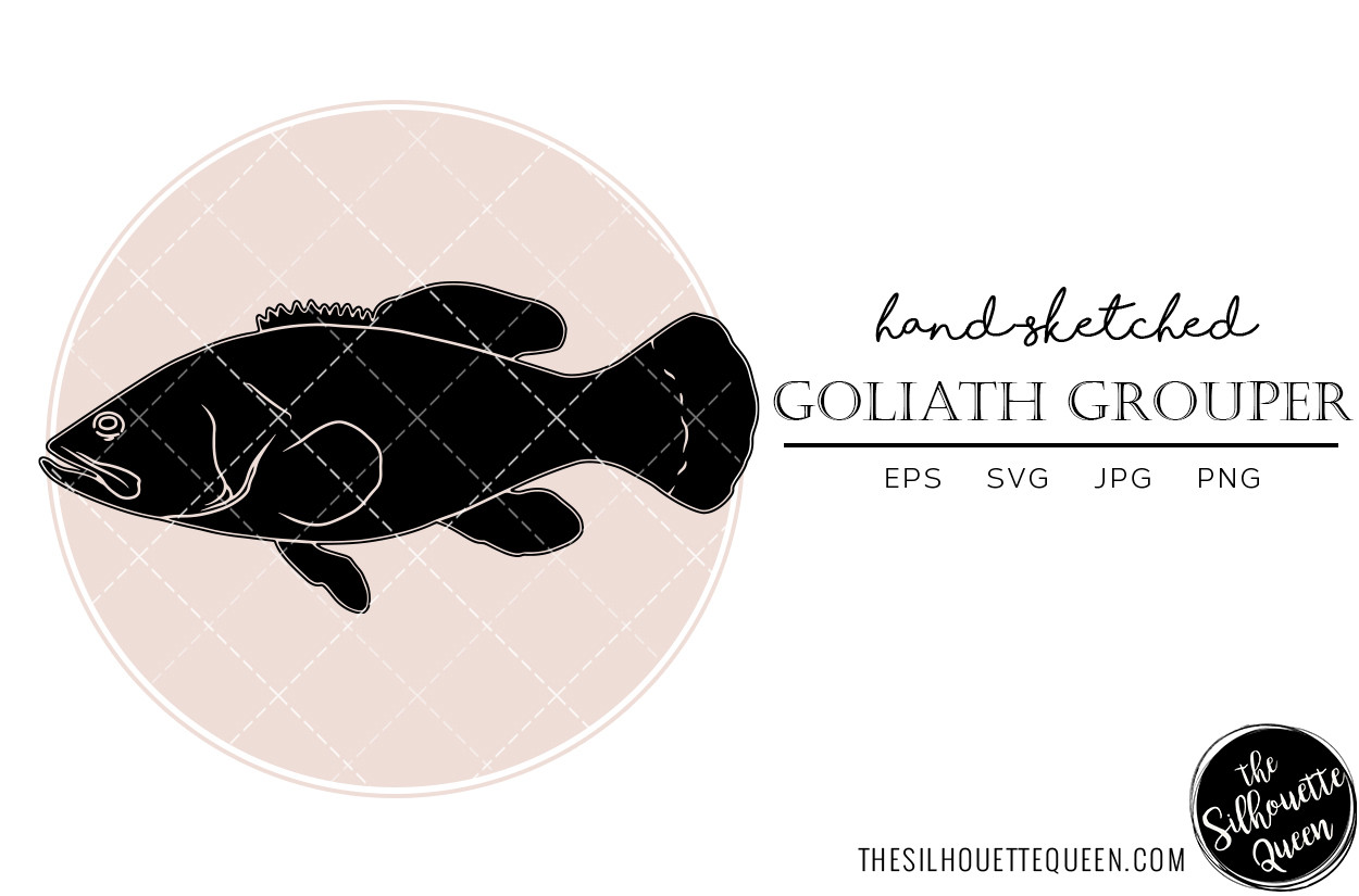 Goliath Grouper Hand Sketched Graphic by thesilhouettequeenshop ...