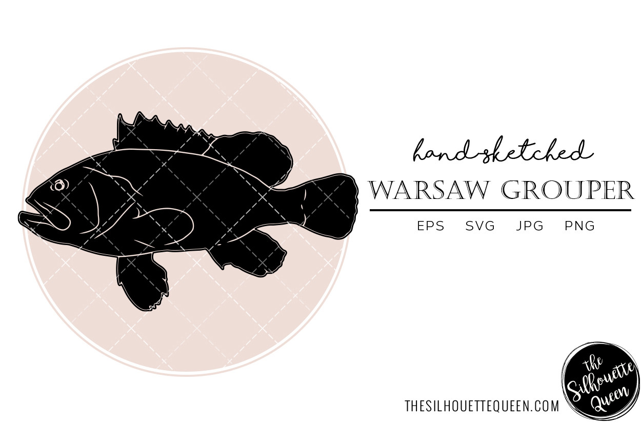 Warsaw Grouper Hand Sketched Graphic by thesilhouettequeenshop ...