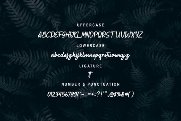 Battako Font - Preview 4
