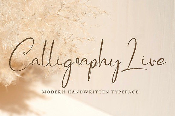 Chatrina Font - Preview 5