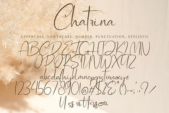 Chatrina Font - Preview 6