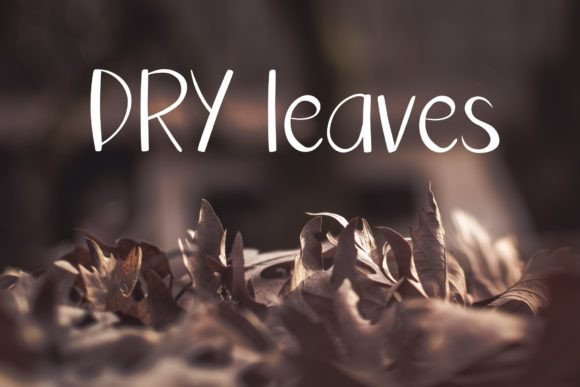 Dont Worry Font PNG with transparent background - Preview 3
