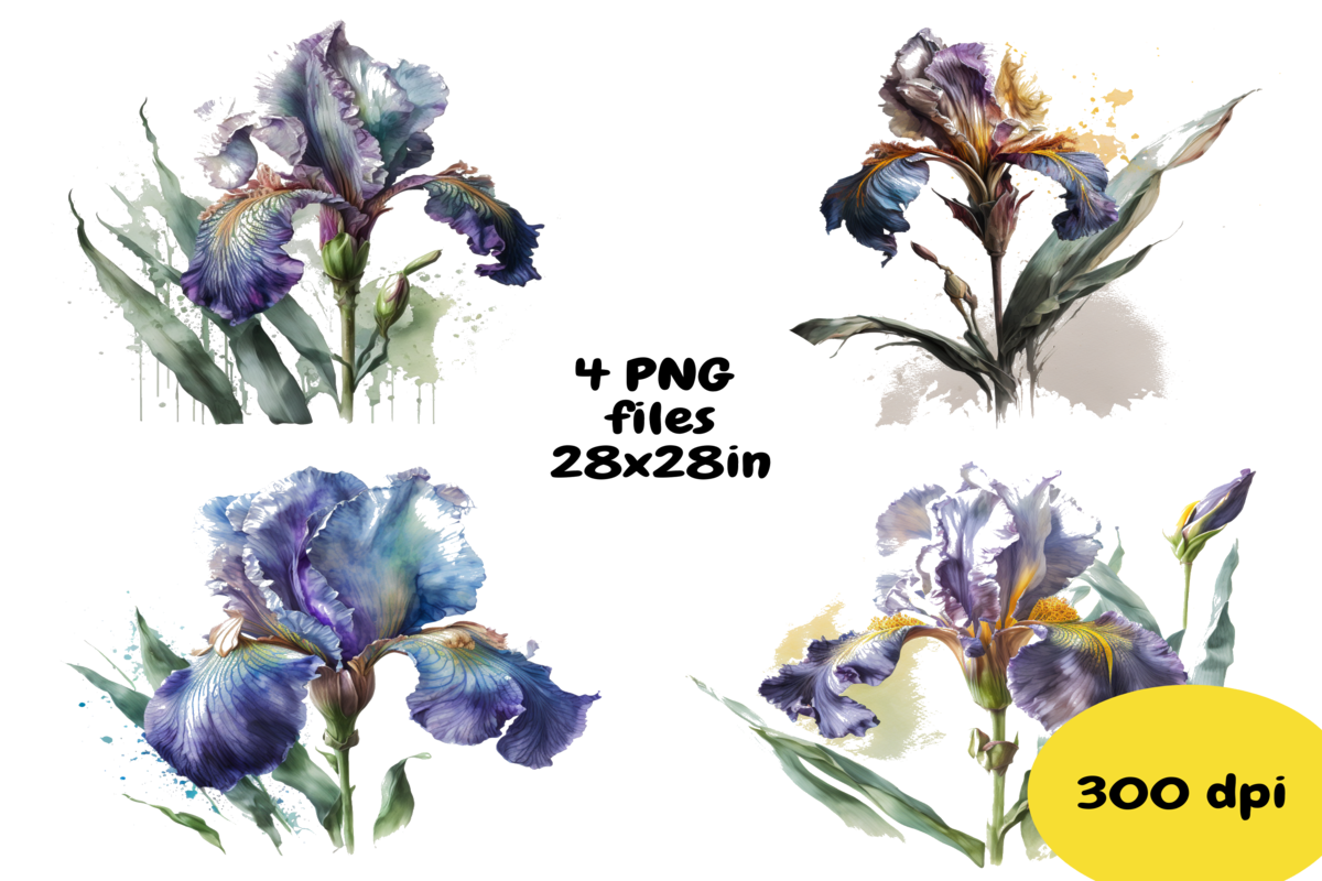 Iris Watercolor Graphic by FeeFiFo Studio · Creative Fabrica