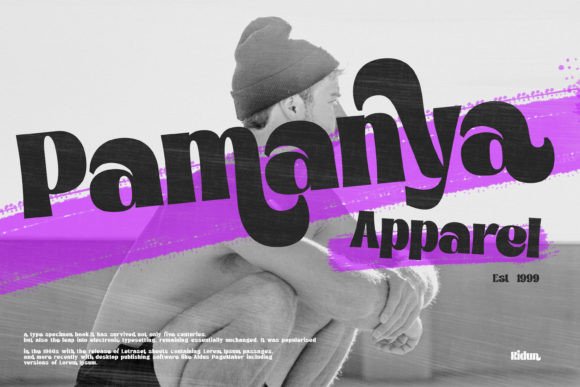 Reepika Font PNG with transparent background - Preview 3