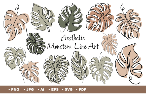 monstera sp peru Monstera sp. Peru (karstenianum) variegata main image 1