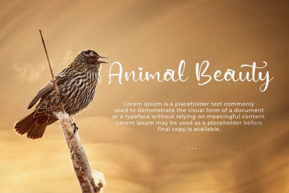 Aquella Lovely Font - Preview 2