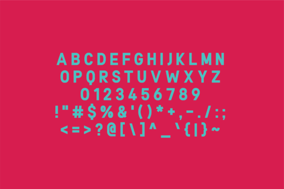 Felicity Font - Preview 2