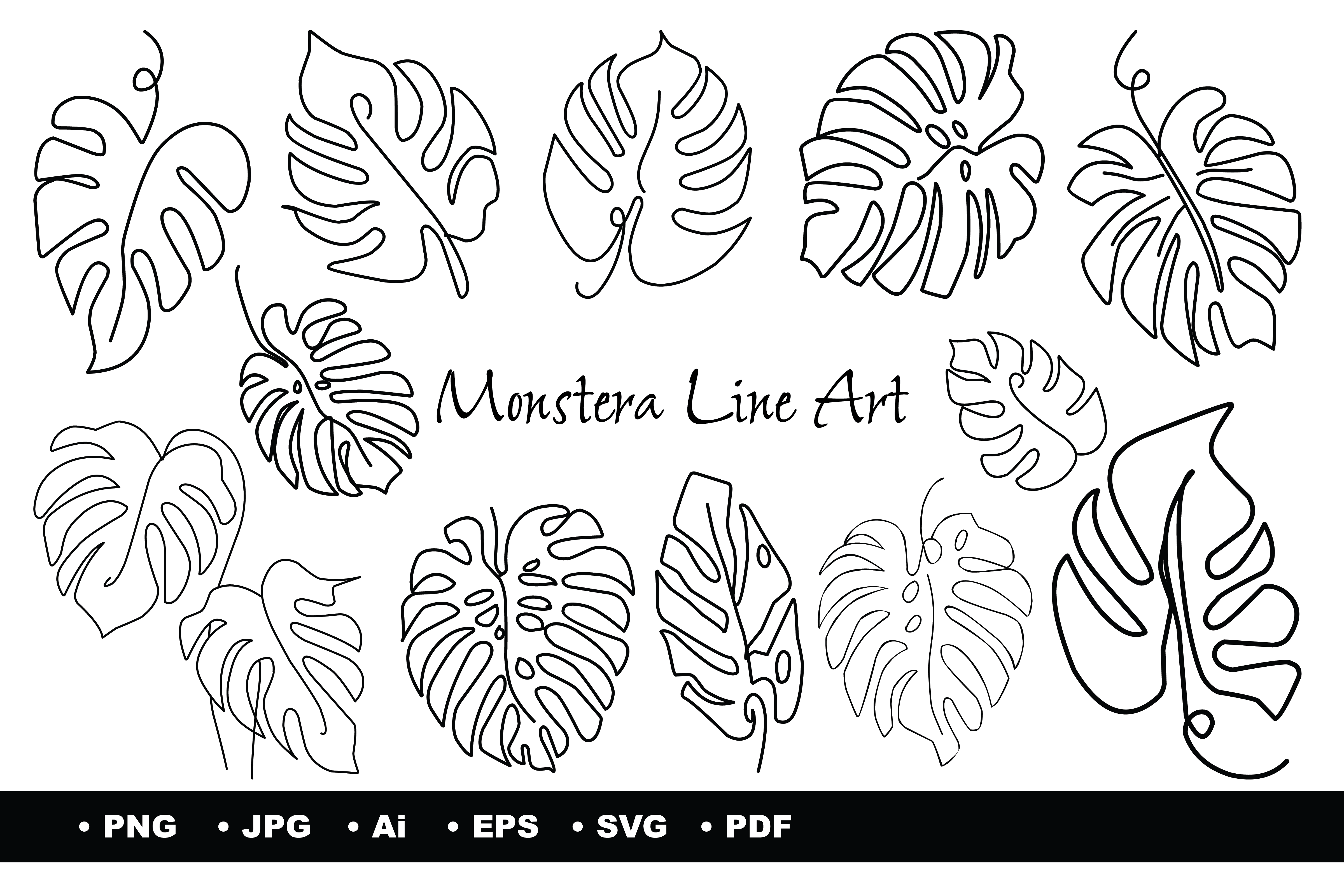 monstera sp Monstera Peru Karstenianum