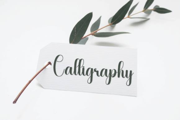 Snakefruit Font PNG with transparent background - Preview 2