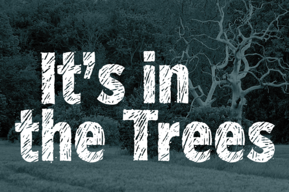 Blackwood Font - Preview 3