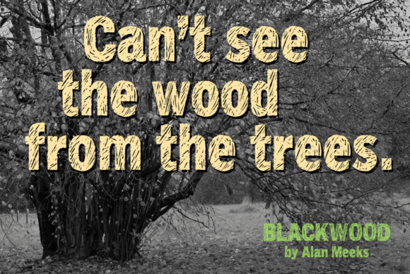 Blackwood Font - Preview 4