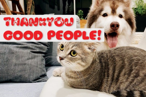 Cat and Dog Font - Preview 5