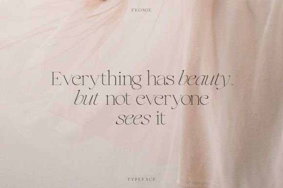 Feonie Font PNG with transparent background - Preview 2