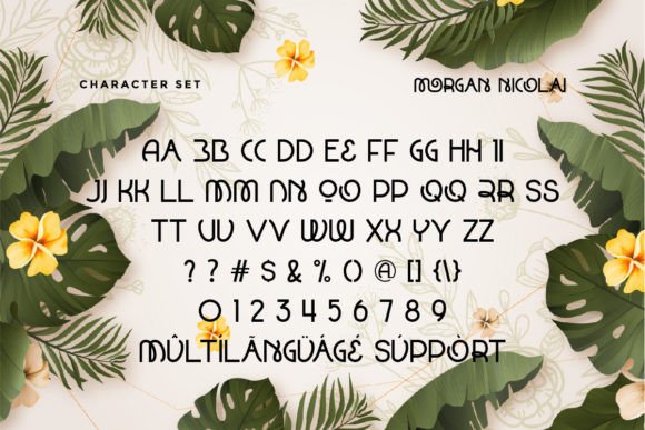 Morgan Nicolai Font PNG with transparent background - Preview 3