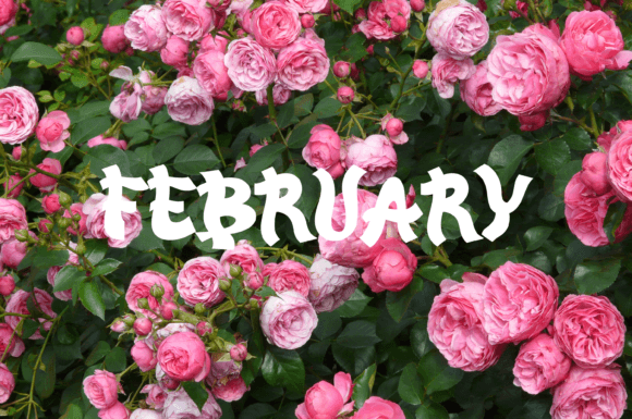 Sakura Lollipop Font PNG with transparent background - Preview 3