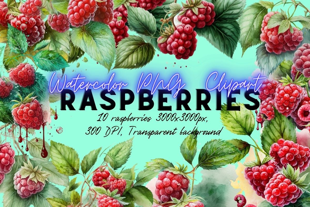 Watercolor Raspberries Clipart #2 Graphic by Line Store · Creative Fabrica