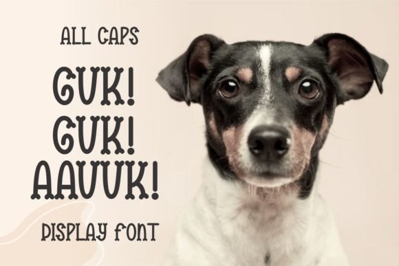 Kirek Cafien Font - Preview 2