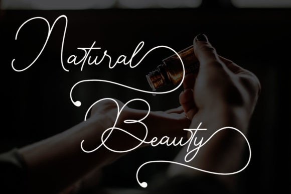 Renata Signature Font PNG with transparent background - Preview 1
