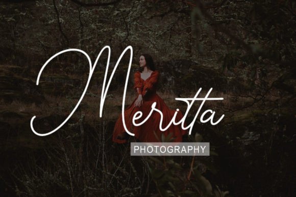Renata Signature Font PNG with transparent background - Preview 3