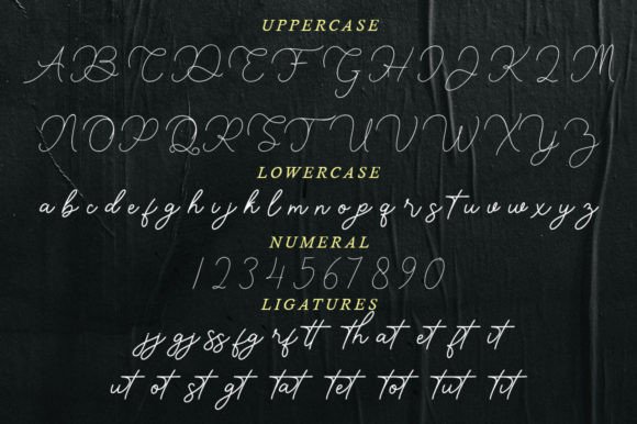 Renata Signature Font PNG with transparent background - Preview 4