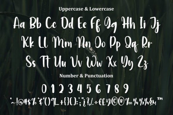 Pastel Something Font PNG with transparent background - Preview 2