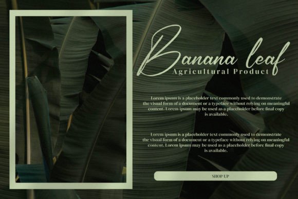 Rikudonata Font PNG with transparent background - Preview 2