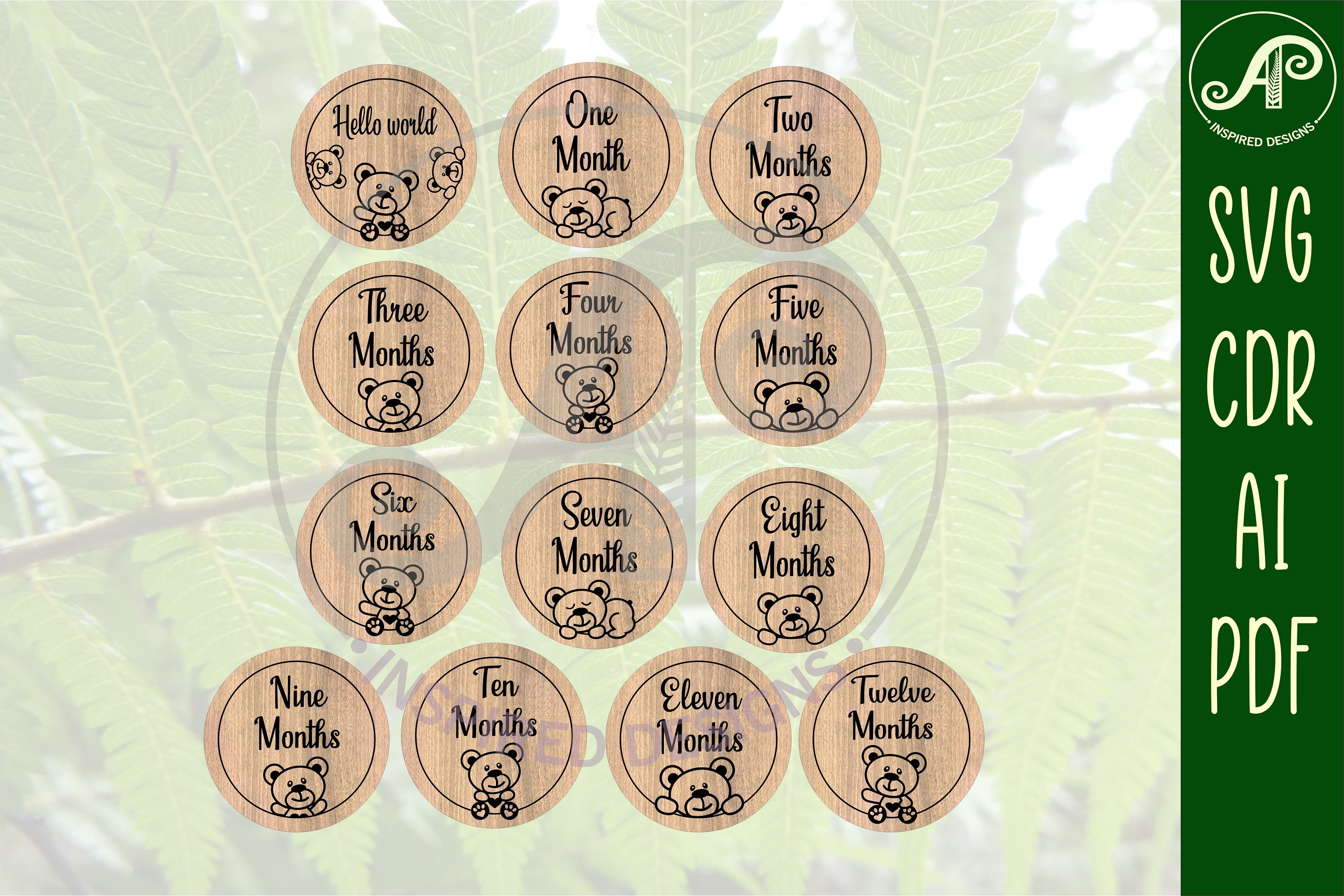 Baby Monthly Milestone Discs SVG Bundle · Creative Fabrica