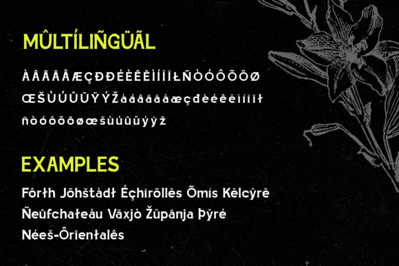 Dipeko Font - Preview 6