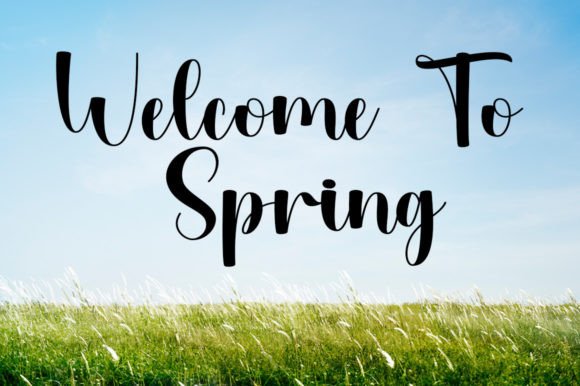 Mint Font PNG with transparent background - Preview 2