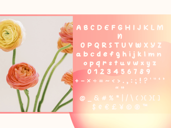 Bowie Font - Preview 4