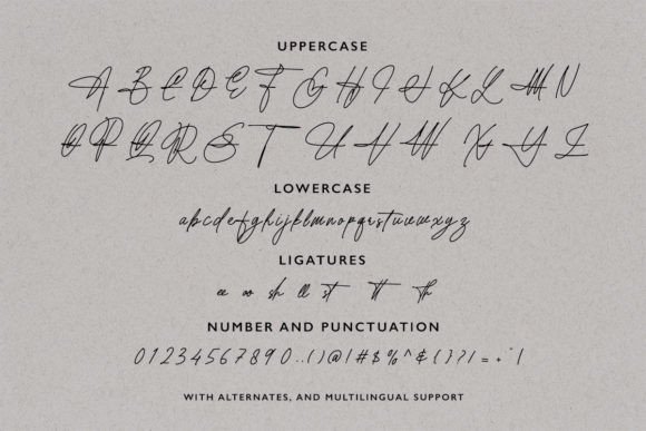 Authorman Font - Preview 6