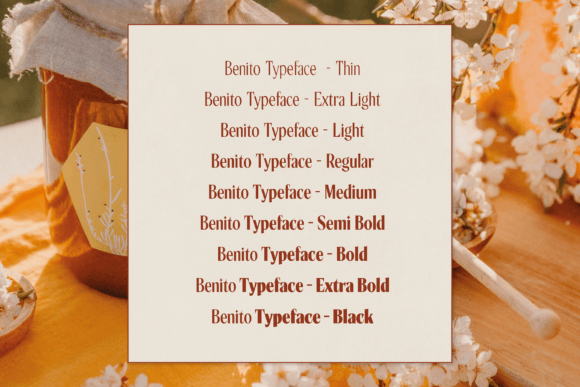 Benito Font - Preview 2