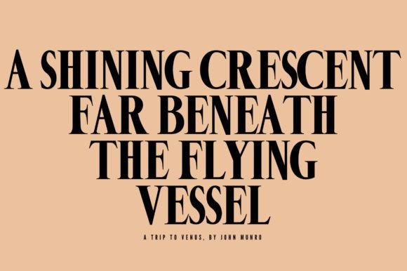 Fieur Font - Preview 4