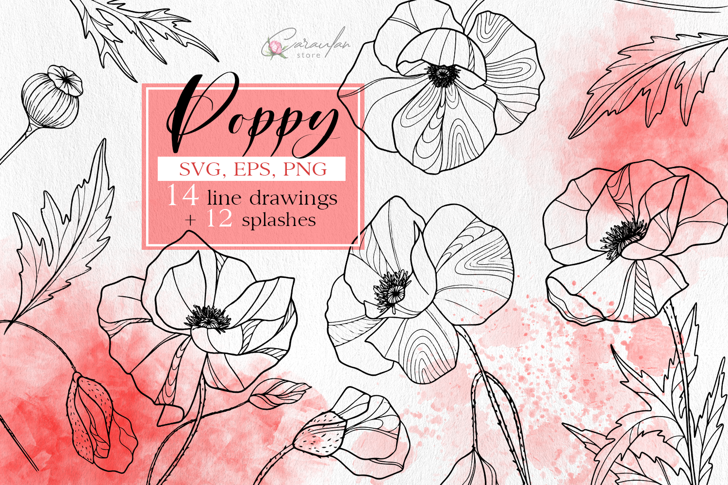 Poppy Line Art, Outline Flowers, Floral Graphic by CaraulanStore ...