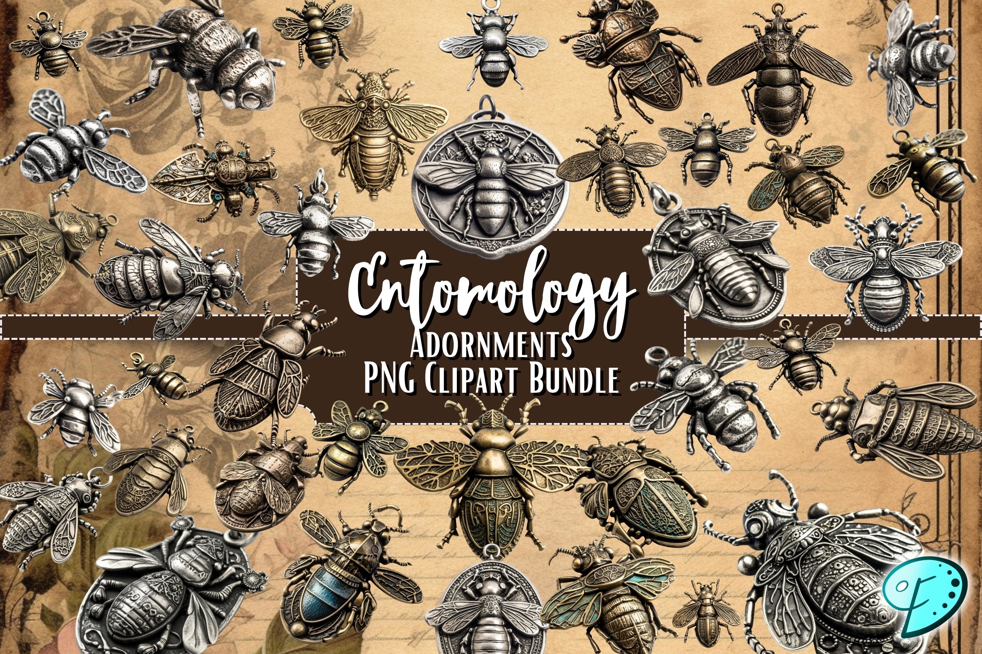 Entomology Adornments PNG Clipart Bundle
